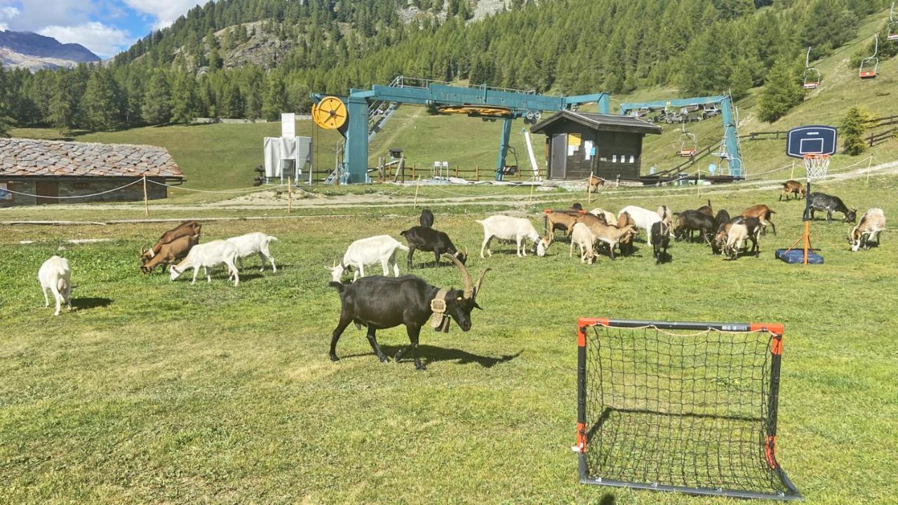 Locanda Ristorante Bar Del Lago Chamois Εξωτερικό φωτογραφία